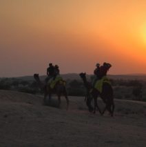 Jodhpur, Mandore and the Thar Desert