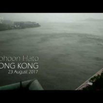 Hong Kong Typhoon 4k