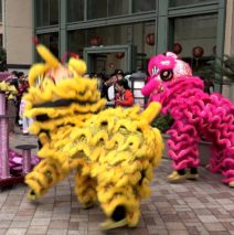 The Lion Dance, Hong Kong